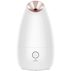 Face Steamer Tool