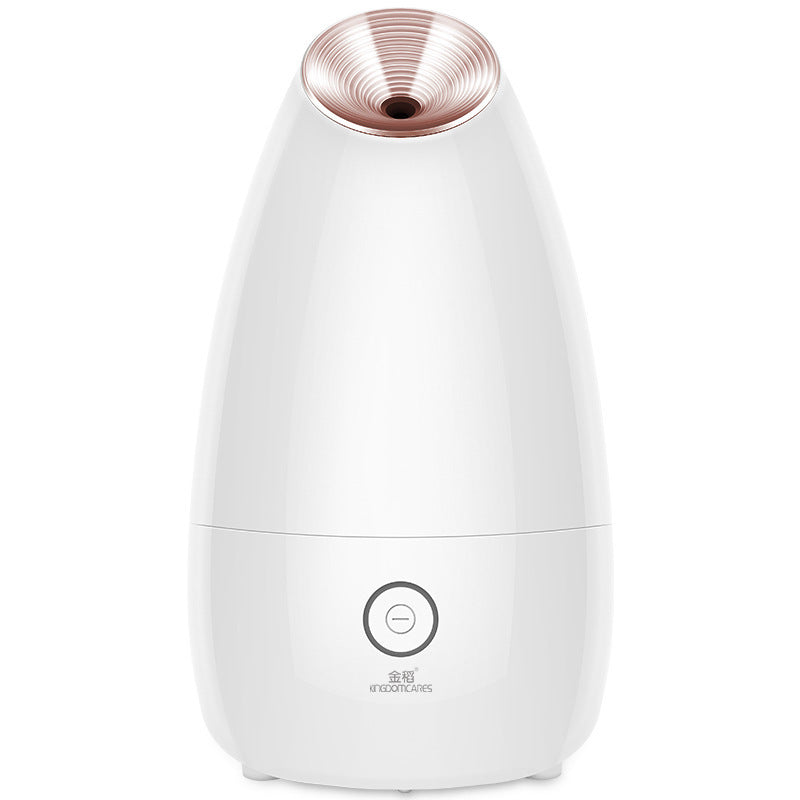 Face Steamer Tool